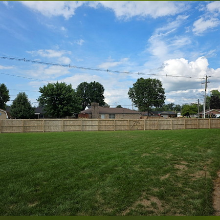 Fence Cleaning