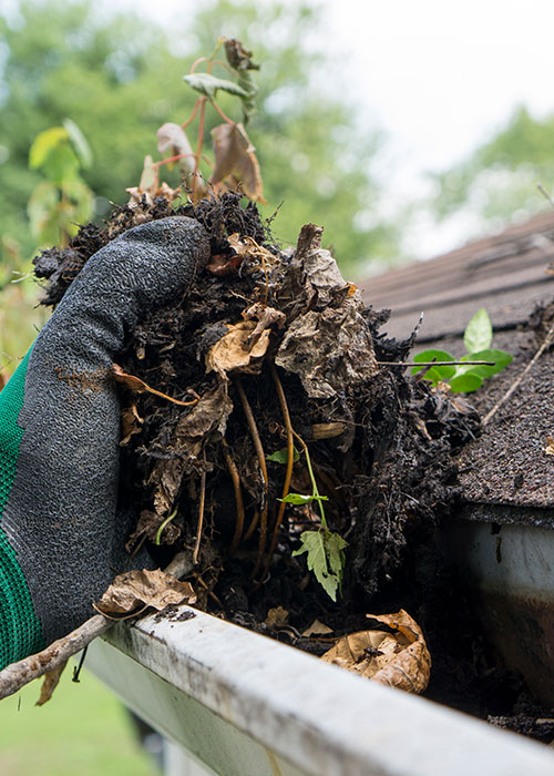 Owensboro gutter washing